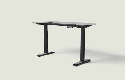 HomeOne desk frame